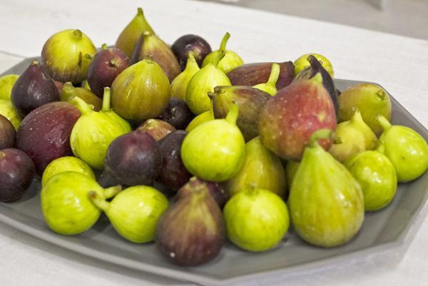 【HOHO#002 Report】いちじくを心ゆくまで愉しむ、お菓子研究家・福田里香さんのワークショップがOFSで開催されました！