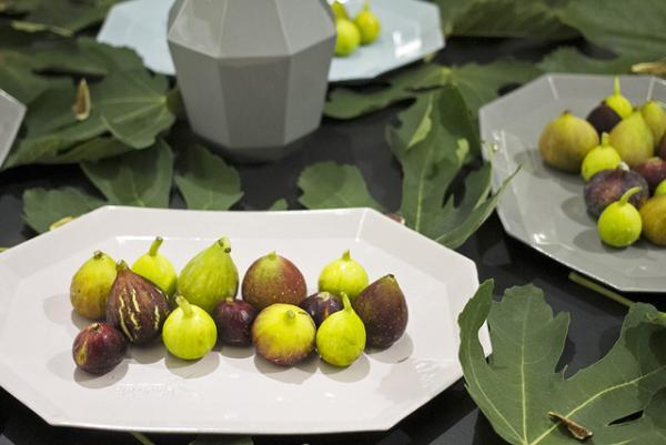 【HOHO#002 Report】いちじくを心ゆくまで愉しむ、お菓子研究家・福田里香さんのワークショップがOFSで開催されました！