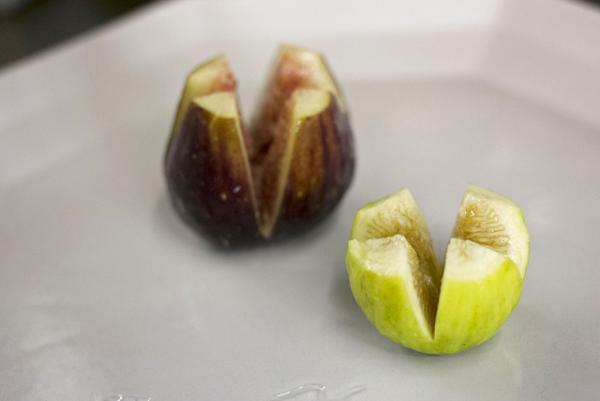 【HOHO#002 Report】いちじくを心ゆくまで愉しむ、お菓子研究家・福田里香さんのワークショップがOFSで開催されました！