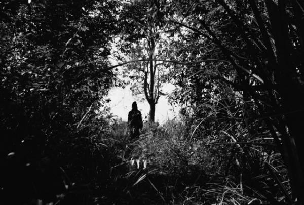 東京都写真美術館で「アピチャッポン・ウィーラセタクン 亡霊たち」展、作家本人のシンポジウムも開催