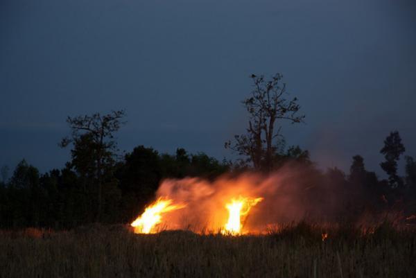 東京都写真美術館で「アピチャッポン・ウィーラセタクン 亡霊たち」展、作家本人のシンポジウムも開催