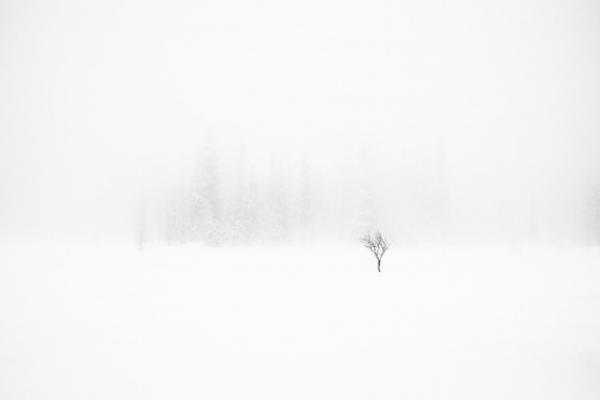 一生着続けたいあったかい日常着、雪国新潟から新ブランド・ドレスハーセルフがデビュー