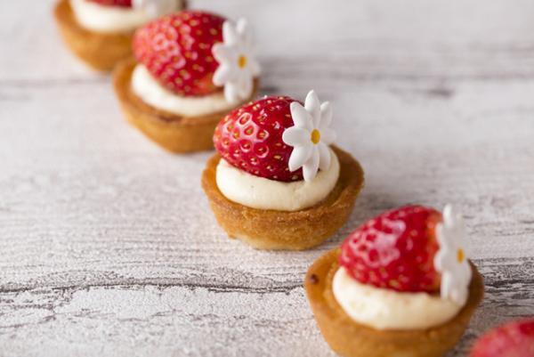 苺づくしのデザートサーカス!?夢のようなヒルトン東京のストロベリーデザートブッフェ