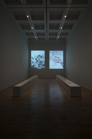 国立新美術館が開館10周年！記念ビジュアルはSPREADが担当