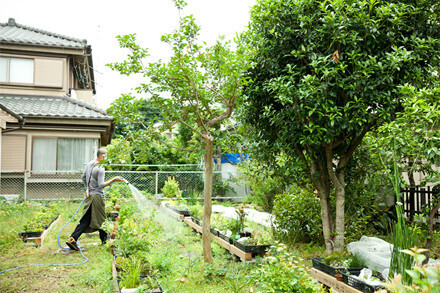 植物研究家の塩津丈洋が初個展開催中、盆栽を展示販売
