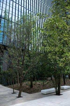 オーテモリ第一期オープン。大手町OLに向けて飲食充実