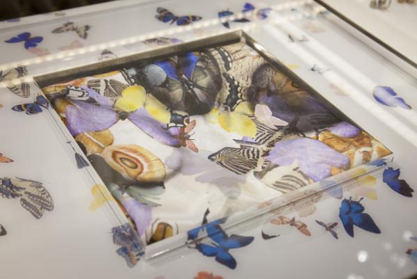 マックイーン×ダミアン・ハースト、蝶やスカルが舞う初のコラボスカーフ発売