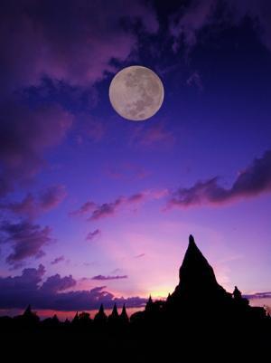 玉木宏が撮る“真珠美”、TASAKIで写真展開催中