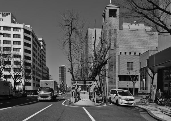 日本橋三越、御神木写真展開催。日本全国100点披露