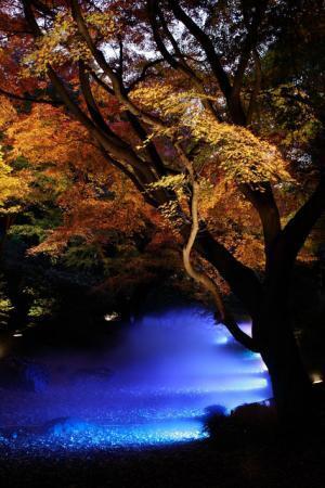 道後オンセナート、ライゾマティクス、谷尻誠ら追加し、4月グランドオープン