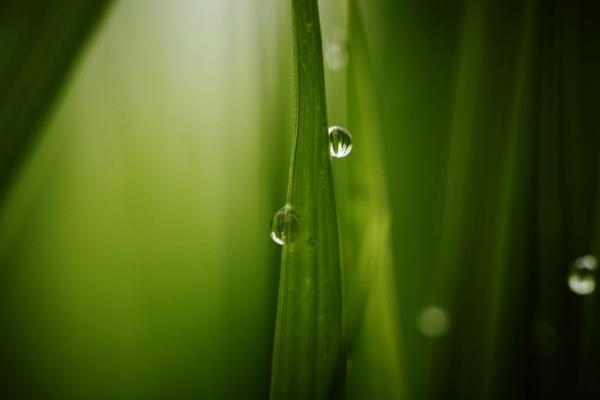 佐藤卓×竹村真一による「コメ展」開催。米の歴史と未来を見つめ直す