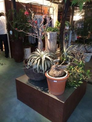 ジュン、ビオトープ2号店を大阪に出店。堀江地区復活なるか