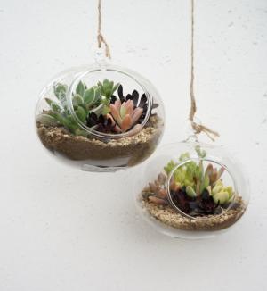 ジュン、伊勢丹にビオトープ出店。国内外コラボアイテム多数登場