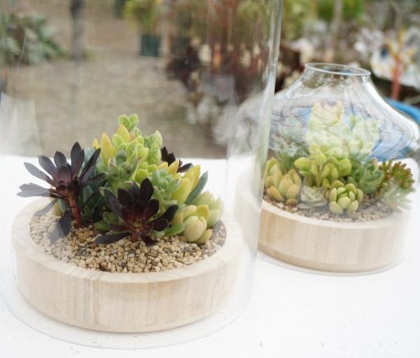 ジュン、伊勢丹にビオトープ出店。国内外コラボアイテム多数登場