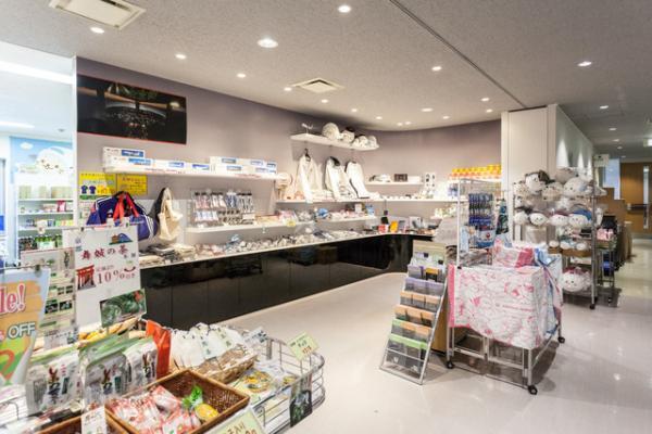 搭乗前も楽しむ羽田空港！--JAL「SKY MUSEUM」で空の旅をもっと楽しく