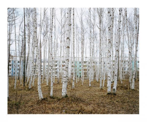 ミュウミュウ、ルイ・ヴィトンなど手掛ける現代写真家ヴィヴィアン・サッセン、日本初の個展。トークショー、サイン会も