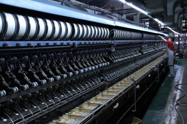 繰糸機に運ばれた繭は、目的の太さになるように何本かの糸をより合わせて巻きとられていく。繰糸期の動きに、熟練工員が目を配る