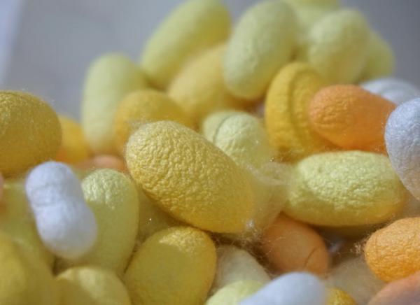 日本橋三越で、日本の絹の歴史を紡ぐ「宝絹」展。富岡製糸場の模型も登場