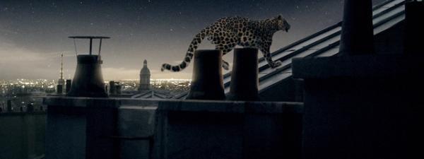 カルティエ、挑戦者に捧げるショートムービー公開