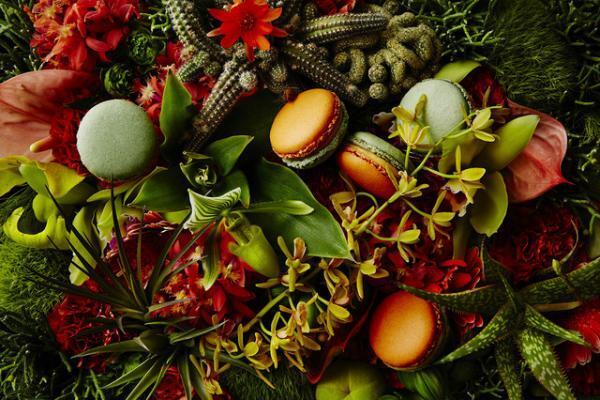 ピエール・エルメ・パリ青山に庭園が誕生。東信監修パッケージの新作マカロンを先行販売