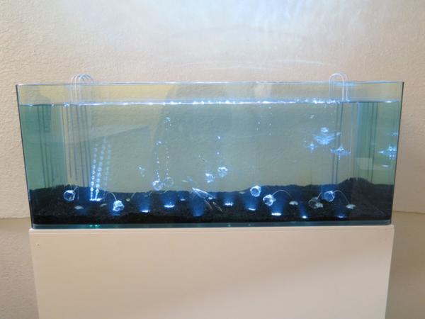 銀座で400人限定アート展・THE MIRRORスタート。名和晃平、アニッシュ・カプーア、内田繁、浅葉克己ら参加