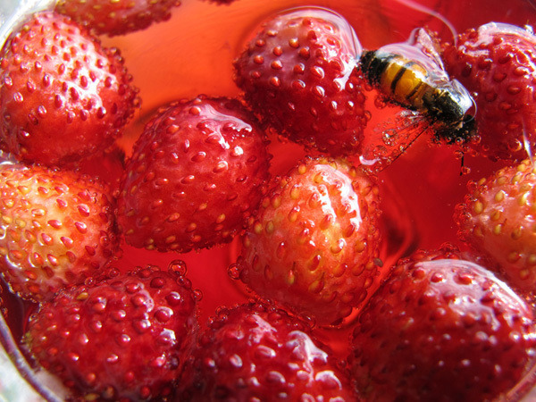 蜷川実花展、ミッドタウンで開催。未発表作品も公開