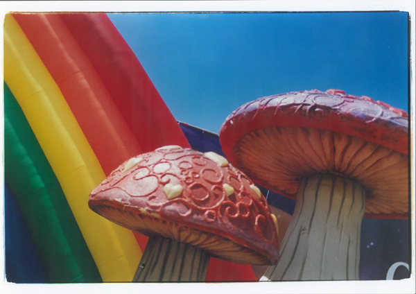 蜷川実花展、ミッドタウンで開催。未発表作品も公開