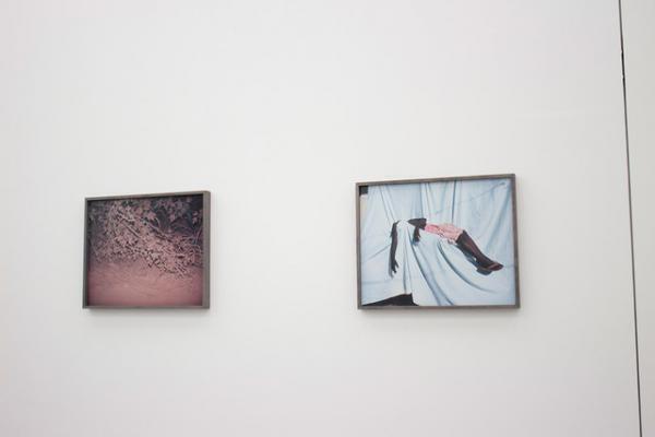 ヴィヴィアン・サッセンがG/P galleryで単独展。現代写真家としての顔に迫る