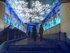 LEDに浮かび上がる万世橋遺構階段の歴史。マーチエキュートでイルミネーション開催