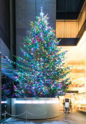 ミキモト銀座本店、最後のクリスマスツリー点灯。LED6500個＆ネックレスオブジェ輝く