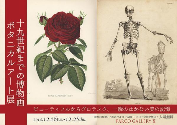 渋谷パルコ、禁断の解剖書を公開。博物画・ボタニカルアート展開催