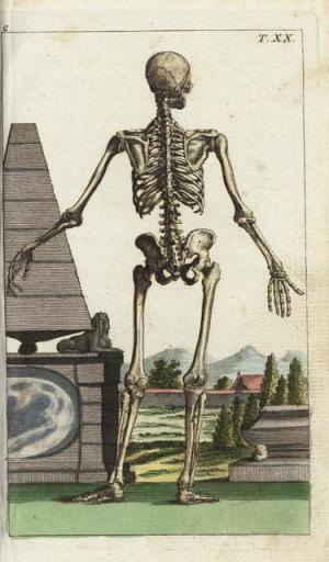 渋谷パルコ、禁断の解剖書を公開。博物画・ボタニカルアート展開催