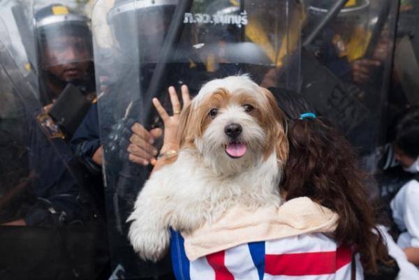 全世界10万点から選ばれた“最高のモバイルフォト”展、京橋で開催