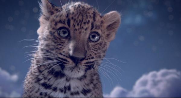 カルティエからクリスマスの贈り物。2匹じゃれあうショートムービー