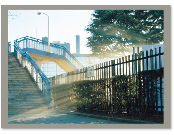 パリフォト2014アワードにノミネート。濱田祐史、初の写真集で光を描く【NADiffオススメBOOK】