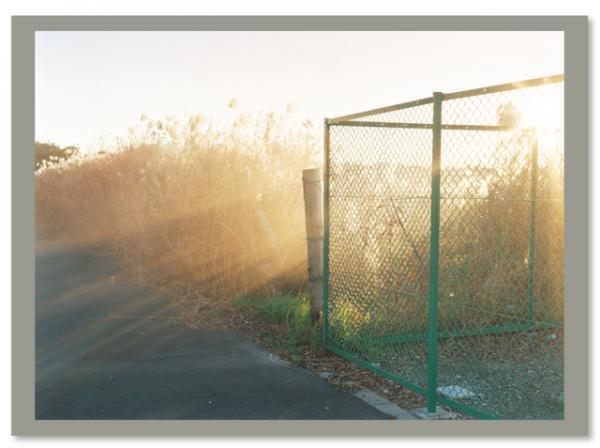 パリフォト2014アワードにノミネート。濱田祐史、初の写真集で光を描く【NADiffオススメBOOK】