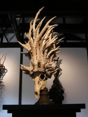 急逝した写真家・高橋榮の立体作品展が京都・東京で開催