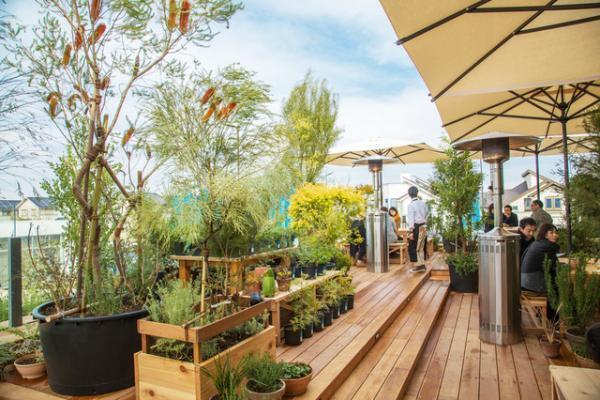 蔦屋書店の本棚を拡張した複合施設に。湘南T-SITEオープン