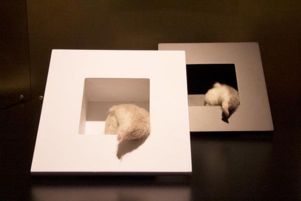 毒のあるクリスマスギフトを新宿伊勢丹が提案。妙にリアルな動物アイテムなど