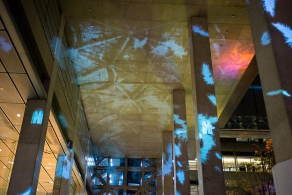 国際フォーラムでクラシック、光、ダンス、映像が交差するパフォーマンス開催