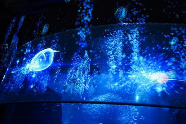 2014年人気記事ランキング--江戸桜ルネッサンス、ムーミン、ガウディなアート編