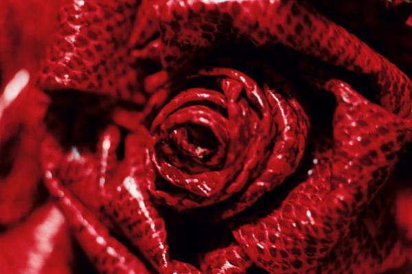 蜷川実花初のセルフポートレート写真展、原美術館で開催