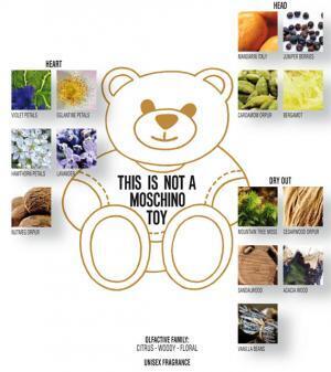 普段は部屋に飾れるテディベア、モスキーノ最新フレグランス発売