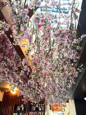 上野公園のスタバでさくらラテ片手にお花見気分。プランティカが桜満開に