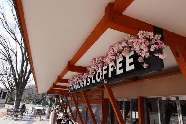 上野公園のスタバでさくらラテ片手にお花見気分。プランティカが桜満開に