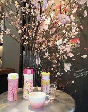上野公園のスタバでさくらラテ片手にお花見気分。プランティカが桜満開に