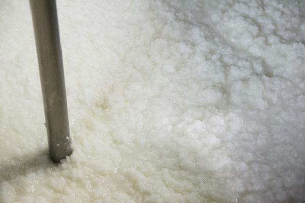 金沢で390年の歴史を紡ぐ、老舗酒蔵「福光屋」の酒造り【後編】