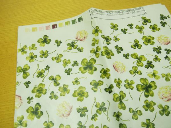 ももクロへの思い--ピンクハウスが描いた永遠の少女性【後編】