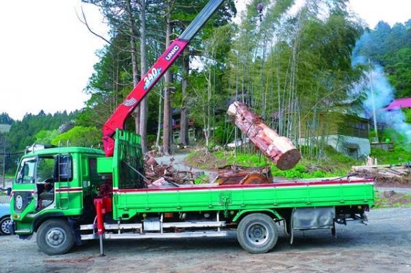 三越伊勢丹が東日本復興支援チャリティキャンペーン。笑顔のどんぐりバッヂを発売