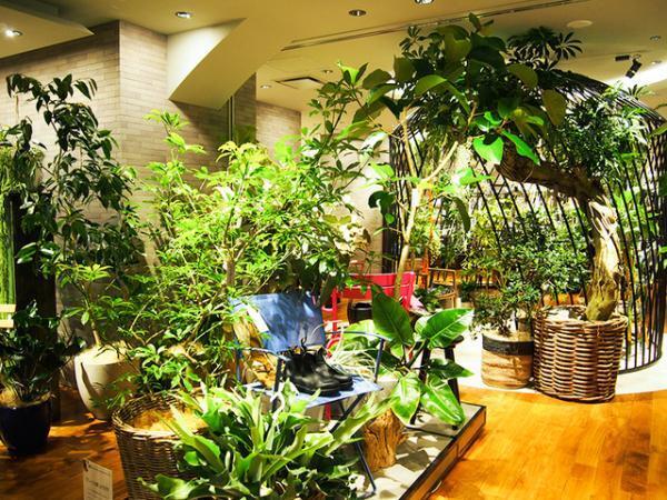 百貨店初、東信の花屋。新宿伊勢丹リビングフロアリモデルグランドオープン